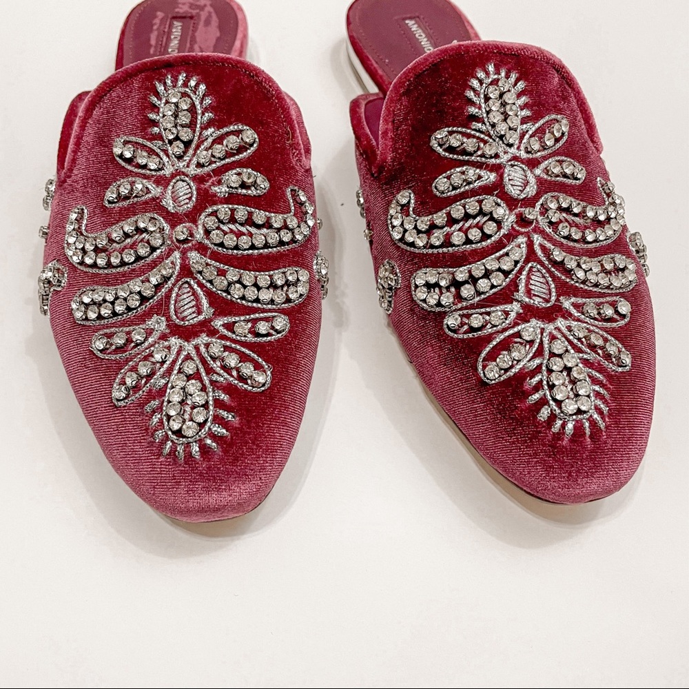 Antonio Melani Velvet Women's Oguna Beaded Mules - Picture 4 of 15